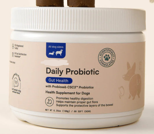 Probiotic for Gut Health